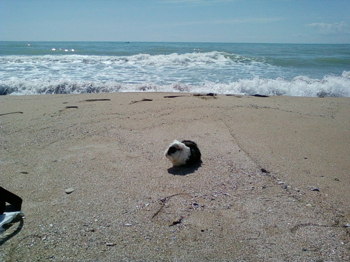 aprilie 2012-Paste in bulgaria 122