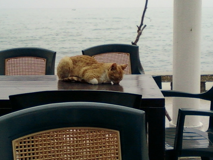 a cazut in nas... - vacanta de Paste la Balcik-Bulgaria