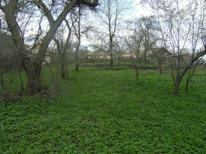 livada 20 04 2012 - april 2012