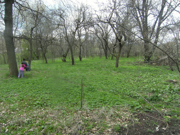 livada 20 april 2012 - april 2012