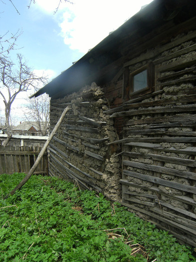 perete la madam iacob aprl 2012