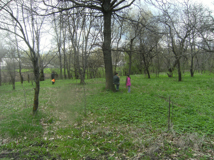 prima leganare 20 apl 2012 - april 2012