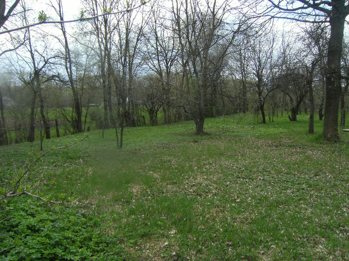 prin livada 20 aplril 2012 - april 2012