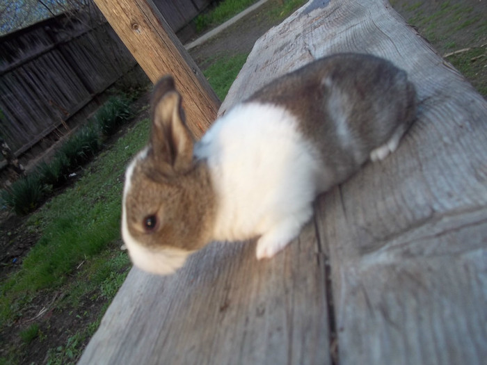 100_6972; doua saptamani
