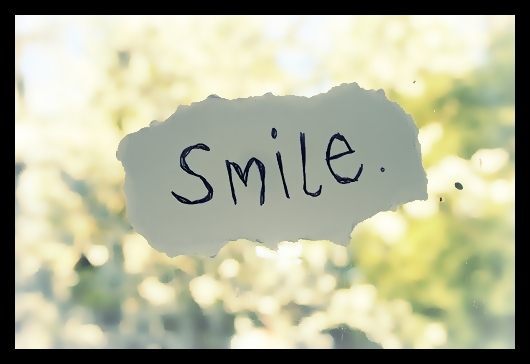 Poii` Sophie renuntase la acel job.