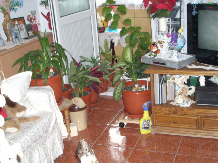 DSCN1349