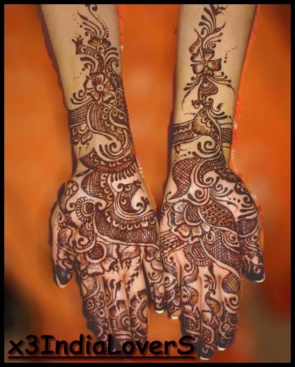  - xo - Mehndi