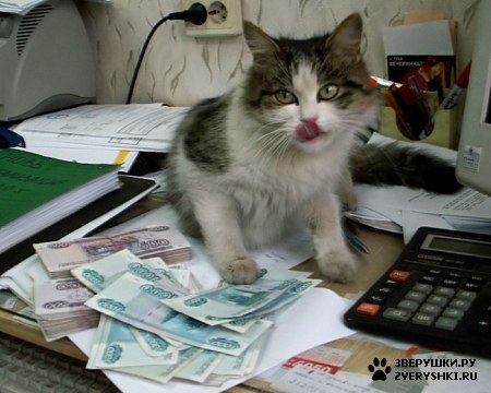 1164923119_bogat - poze sell marie sell gomez