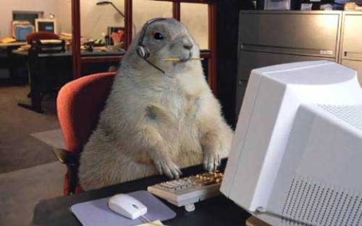 computer_animals%20%284%29 - poze sell marie sell gomez