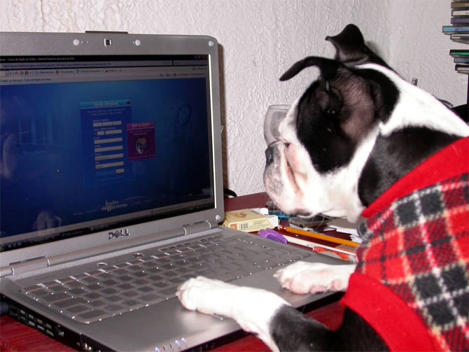 computer_animals%20%2814%29 - poze sell marie sell gomez