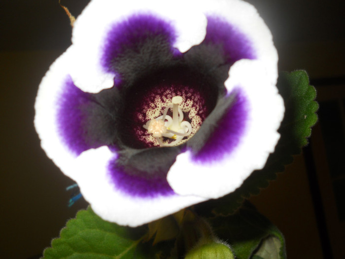 DSCN2431