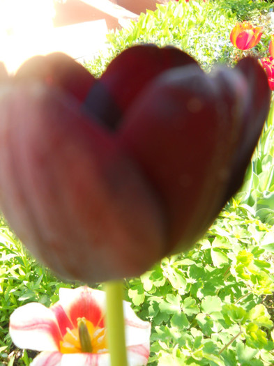 DSCN2436