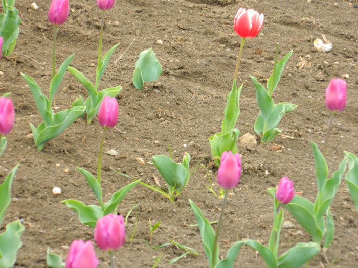 DSCN3200