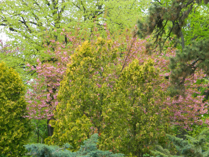 DSCN3213