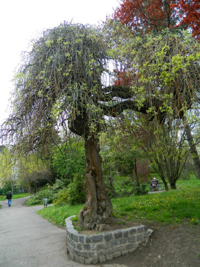 DSCN3215