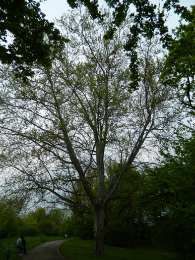 DSCN3227