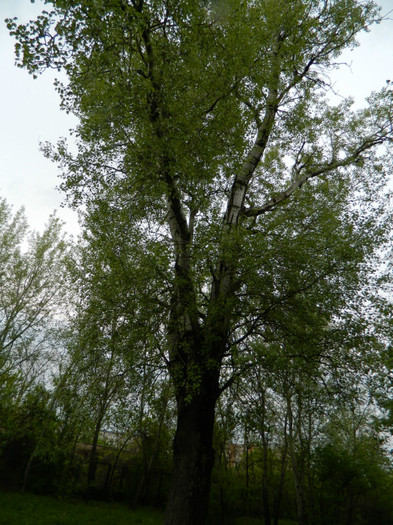 DSCN3247