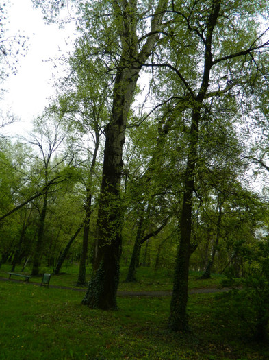 DSCN3249
