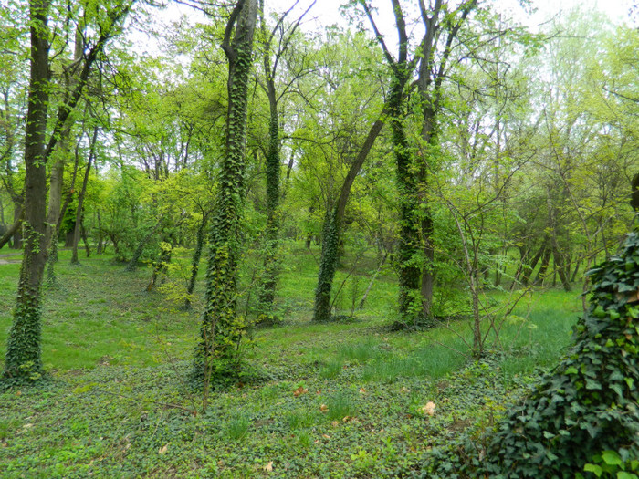 DSCN3253