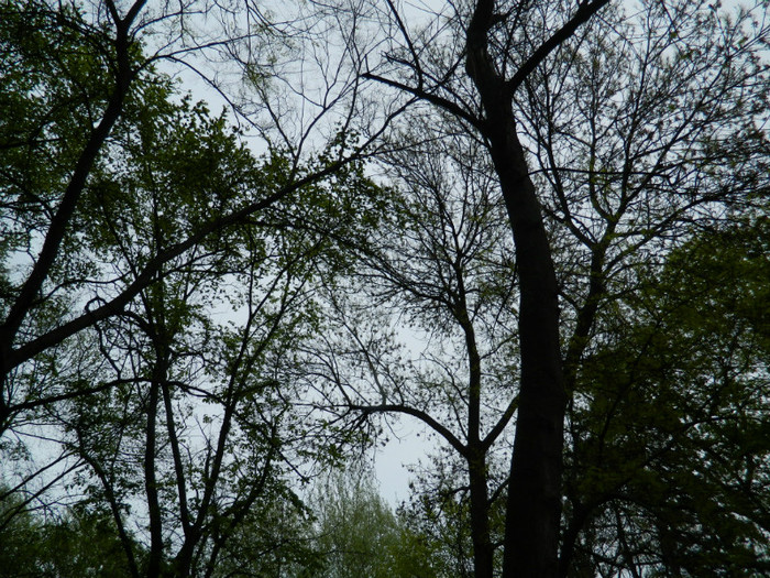 DSCN3254