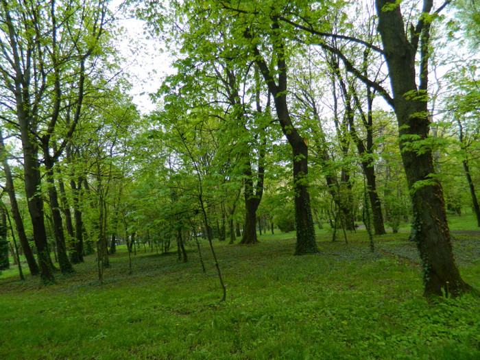 DSCN3257