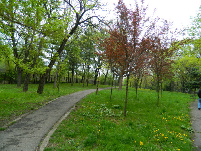 DSCN3258