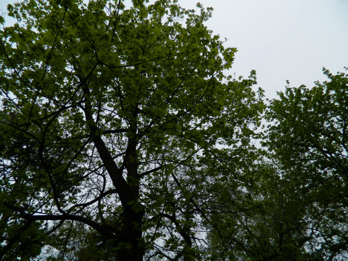 DSCN3272