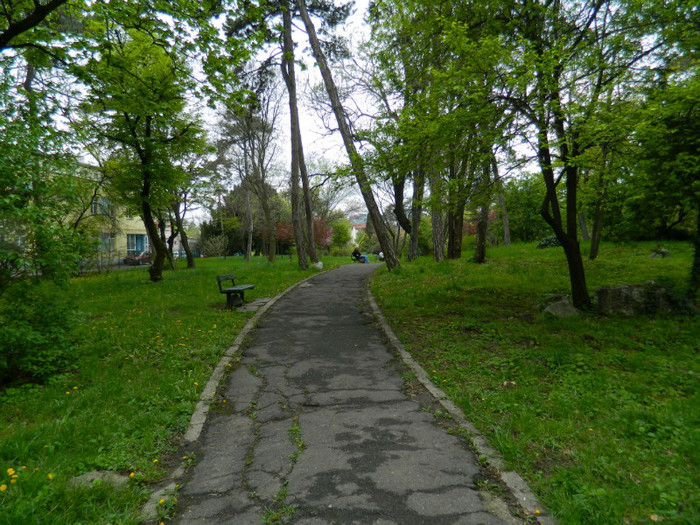 DSCN3273