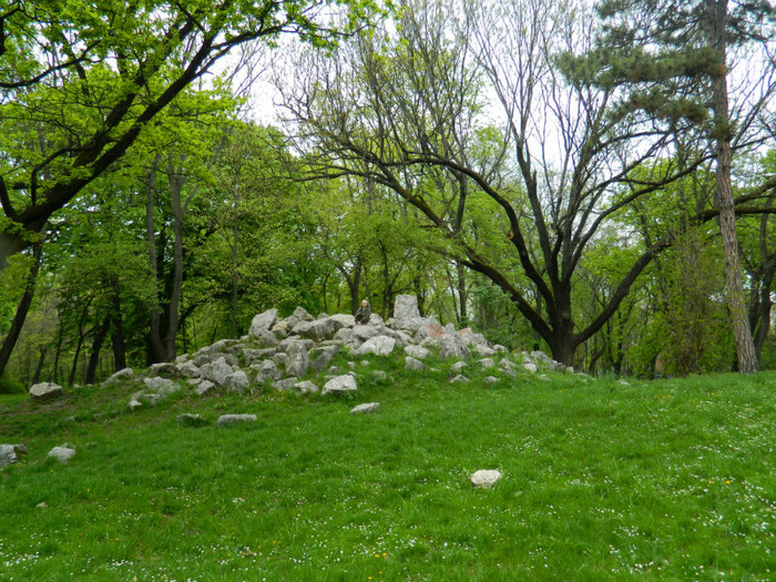 DSCN3283