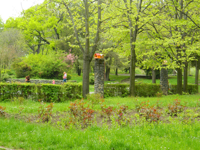 DSCN3288