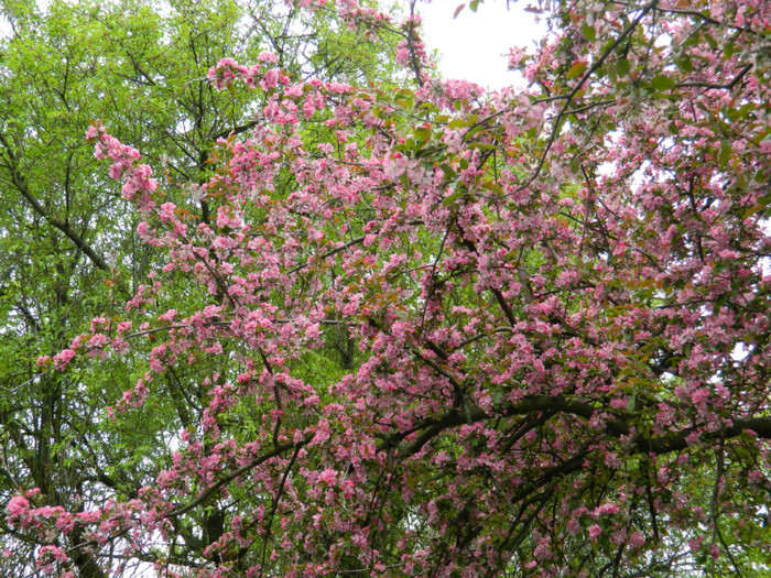 DSCN3295