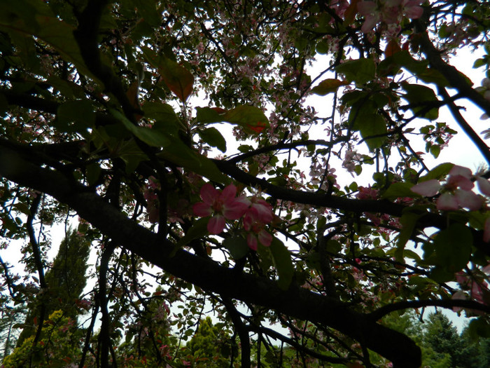DSCN3297