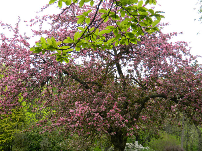 DSCN3311