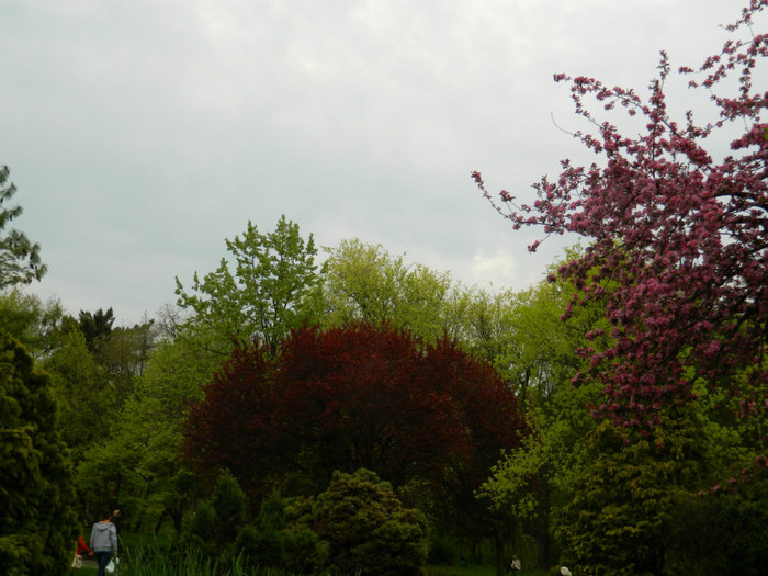 DSCN3312