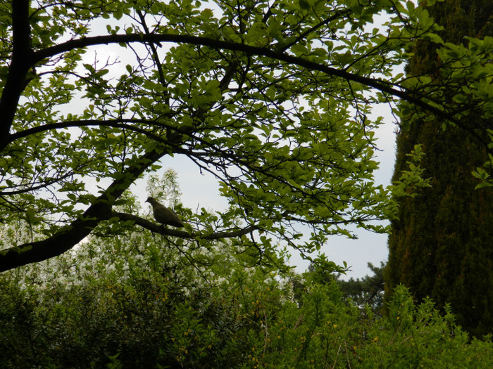 DSCN3314