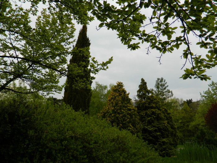 DSCN3316