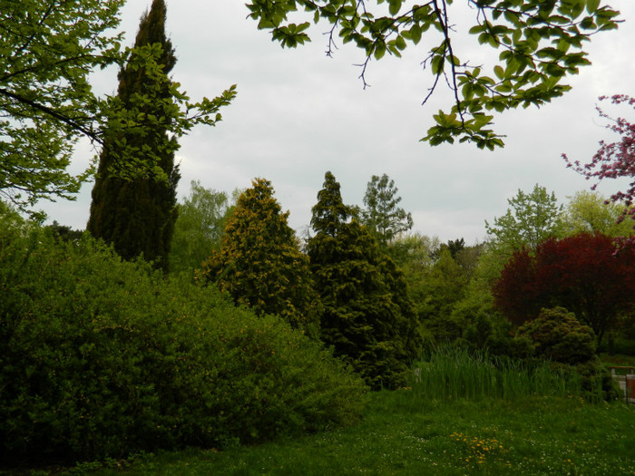 DSCN3317