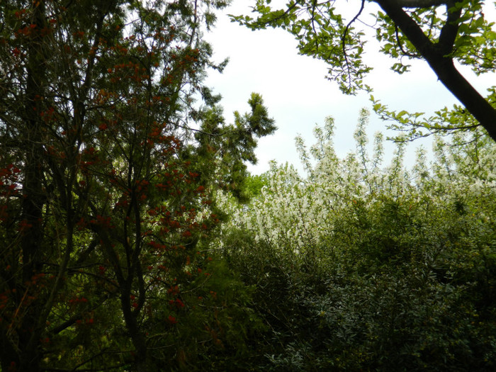 DSCN3318