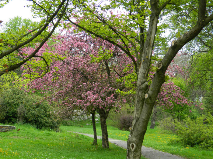 DSCN3319