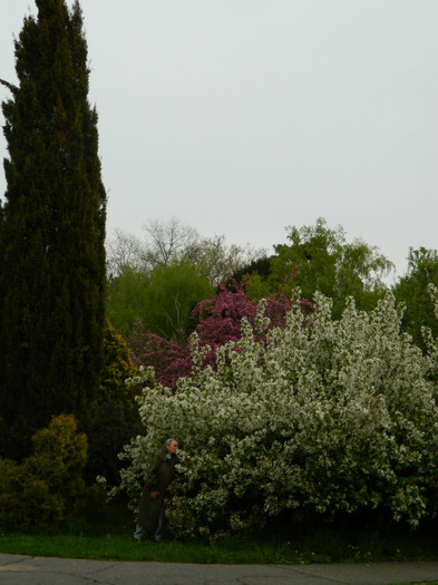 DSCN3331