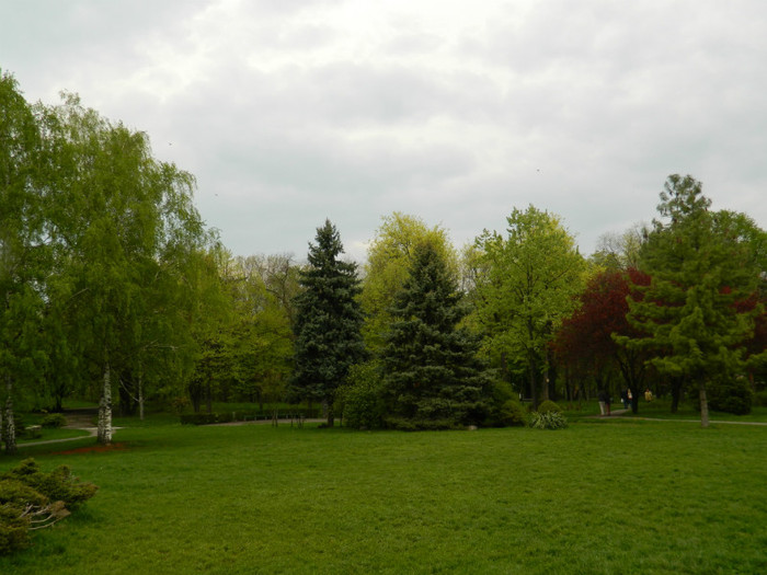 DSCN3359
