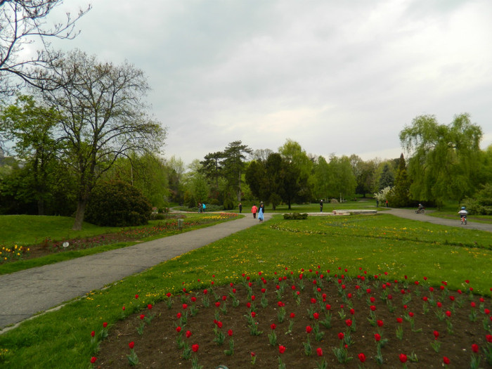 DSCN3391 - Parcul Botanic Timisoara