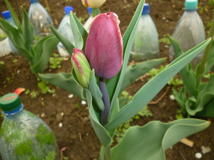 P1000373