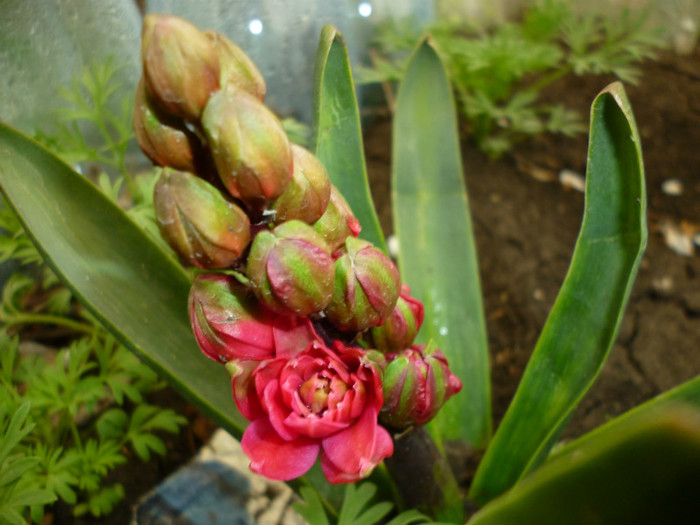 P1000380