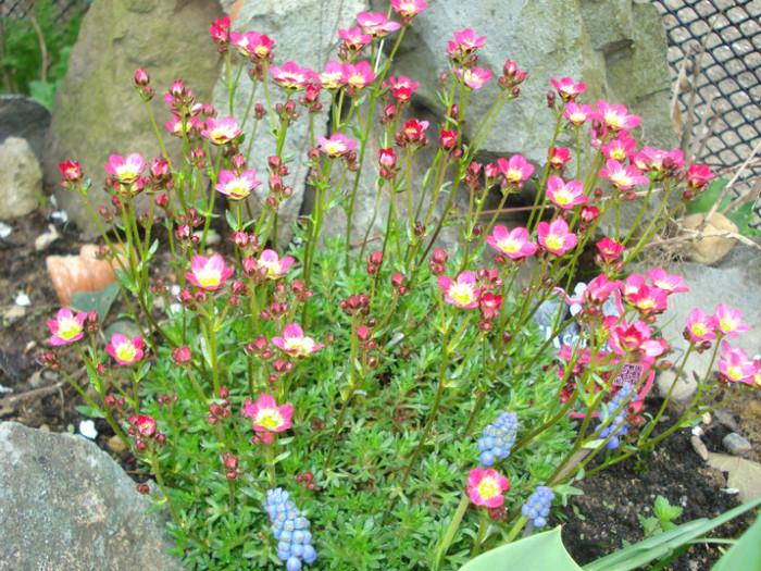 DSC06202