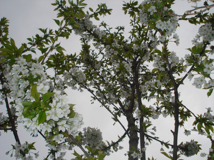 DSC05975