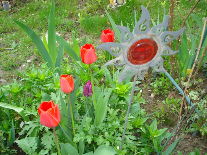 DSC06117