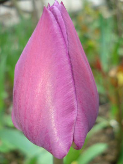 DSC06155