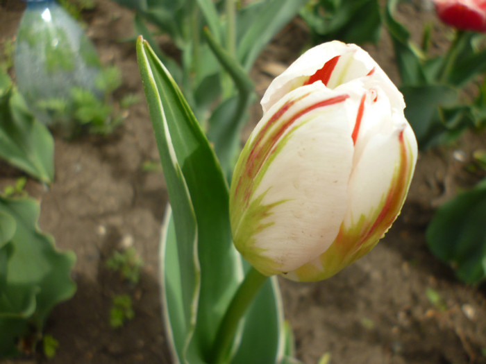 P1000397