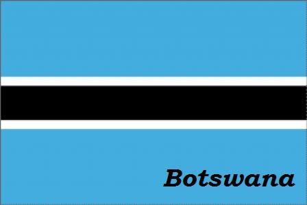 BOTSWANA - BOTSWANA-ring collection